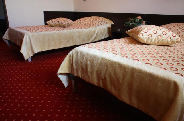 Hotel Wasik Krogulcza Номер фото