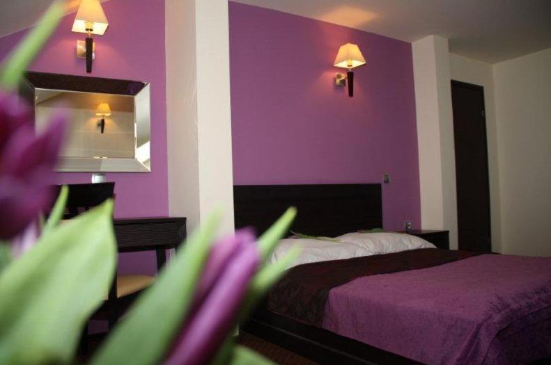 Hotel Wasik Krogulcza Номер фото